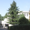 Levana-Schule - ehemalige BBS (Foto Sauerzapfe)