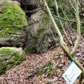 Höhle im Teutelsgrund, im Volksmund Teufelskanzel bezeichnet (Foto Dr. S. König) 