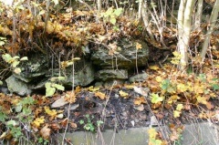 Sichtbare Reste des abgebauten Kupferschieferflözes (Foto Dr. S. König) 