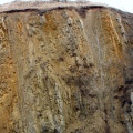 Detailaufnahme der steilgestellten Schichtenfolge des Unteren Muschelkalkes (Foto Dr. S. König) 