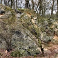 Felswand aus stark verkarsteten Gips im südlichen Gipssteinbruch (Foto Dr. S. König) 