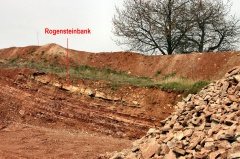 Rogensteinbank im Steinbruch Lengefeld (Foto Dr. S. König - 2007) 