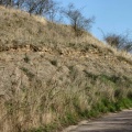 Geotop Wormsleben - anstehende Gesteine (Foto Dr. König) 