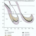 Geologischer Profilschnitt Neu-Mansfeld (Archiv und Bearbeitung Dr. S. König)