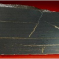 Bild 1: Kupferschiefer mit Erzlinealen und vererzten Klüften von Chalkopyrit