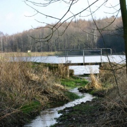 [084] Ölgrundteich Wiederstedt