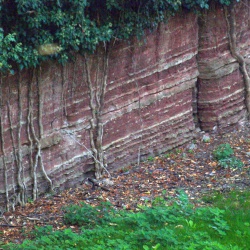 Rotliegend
