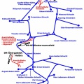 Übersichtsplan des Gleisnetzes der MBB (MansfeldBand1 / Reinelt MBB)