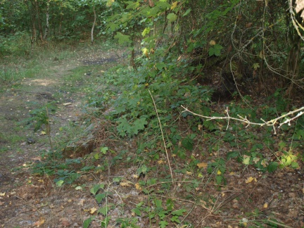 Anfang Teilstrecke 3 (Foto Sauerzapfe)