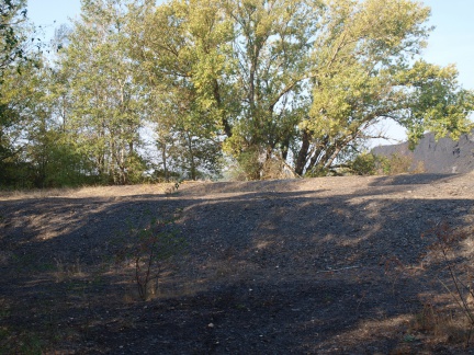 Teilstrecke 3 Haldenplateau (Foto Sauerzapfe)