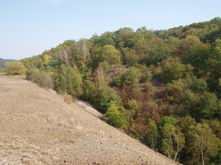 Halde Otto-Schacht T42 (Foto Sauerzapfe)