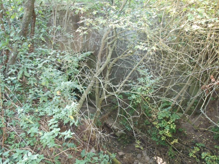 Wolferöder Graben (Foto Sauerzapfe)