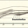 Profil Braunkohlenlagerstätte des Halittypus.jpg