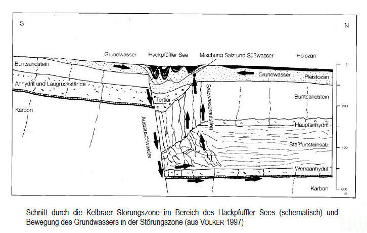 Schematische Darstellung der geologischen Verhältnisse im Bereich des Naturschutzgebietes „Hackpfüffler See“ (aus VÖLKER 1997)