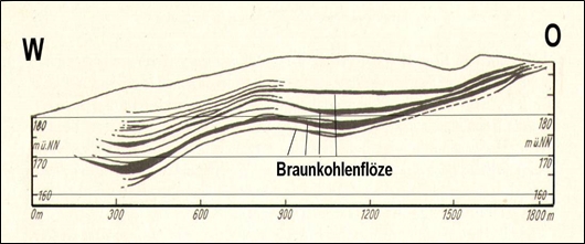 Profil Braunkohlenlagerstätte des Halittypus